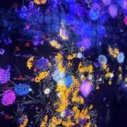 ヒメ日記 2026/09/15 20:52 投稿 きり Profile～プロフィール～（那覇）