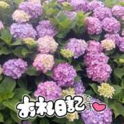 ヒメ日記 2026/07/15 17:07 投稿 七海 ゆの こあくまな熟女たち 鶯谷・日暮里店(KOAKUMAグループ)