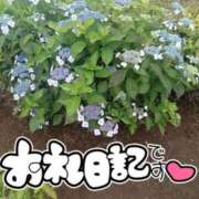 七海 ゆの 【お礼写メ日記】Kさま…口コミありがとう こあくまな熟女たち 鶯谷・日暮里店(KOAKUMAグループ)