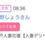 ヒメ日記 2026/07/20 23:43 投稿 卯月おとは 松戸人妻花壇