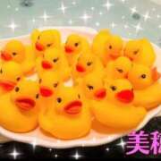 美穂(みほ) 本日21:40〜出勤します(^-^) モアグループ厚木人妻城
