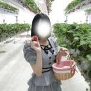 ヒメ日記 2026/08/04 16:03 投稿 はんな シークレットサービス