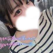 ヒメ日記 2026/07/17 05:15 投稿 めるる 奥様なでしこ