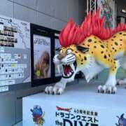 ヒメ日記 2026/09/03 16:41 投稿 うる 宮城仙南ちゃんこ