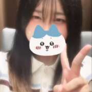 ヒメ日記 2026/08/10 22:04 投稿 はるな S級美女専門 ロイヤルリング