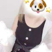 ヒメ日記 2026/07/19 11:20 投稿 みい Beppin house