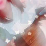 ヒメ日記 2026/07/20 18:33 投稿 新人ゆりえ 奥様メモリアル