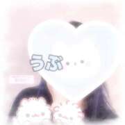 ヒメ日記 2026/07/14 20:42 投稿 うぶ びくびくサークル五反田店
