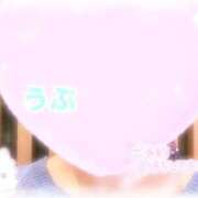 ヒメ日記 2026/08/03 16:41 投稿 うぶ びくびくサークル五反田店