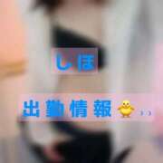 ヒメ日記 2026/08/04 21:23 投稿 しほ 熟女の風俗アウトレット都城店