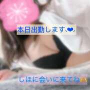 ヒメ日記 2026/08/16 11:33 投稿 しほ 熟女の風俗アウトレット都城店