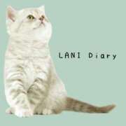 ヒメ日記 2026/08/24 18:23 投稿 南青山らに 断りきれない美人マッサージ嬢たち