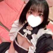 ヒメ日記 2026/07/31 19:56 投稿 れも 2980円（にゃんきゅっぱ）