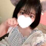 ヒメ日記 2026/08/19 10:56 投稿 れも 2980円（にゃんきゅっぱ）