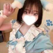 ヒメ日記 2026/09/21 11:00 投稿 れも 2980円（にゃんきゅっぱ）