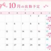 ヒメ日記 2026/09/19 11:12 投稿 ともみ 新橋・汐留人妻ヒットパレード（シンデレラグループ）