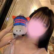 ヒメ日記 2026/07/25 17:22 投稿 こむぎ☆ CLUB PIAA