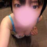 ヒメ日記 2026/08/13 17:52 投稿 こむぎ☆ CLUB PIAA