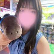 ヒメ日記 2026/09/07 12:52 投稿 こむぎ☆ CLUB PIAA