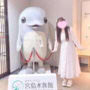 ヒメ日記 2026/09/27 22:12 投稿 ももな 鶯谷デリヘル倶楽部