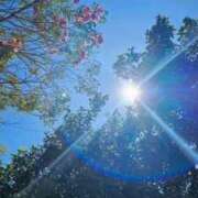 ヒメ日記 2026/08/24 11:42 投稿 はづき sakura