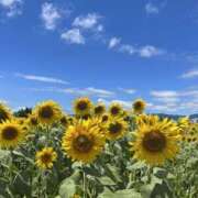 ヒメ日記 2026/07/17 17:02 投稿 はる 素人しか勝たん！柏店（超恋人型空間デリヘル）