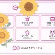 ヒメ日記 2026/08/13 21:31 投稿 陽毬【ヒマリ】 輝女