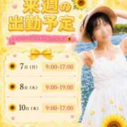 ヒメ日記 2026/09/04 19:03 投稿 陽毬【ヒマリ】 輝女
