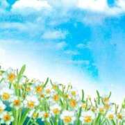 ヒメ日記 2026/10/01 11:42 投稿 かすみ TALENT（タレント）