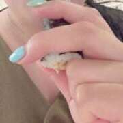 マチ 出勤します💖 鹿児島ちゃんこ霧島店