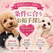 ヒメ日記 2026/09/03 21:03 投稿 ヒジリ バニーコレクション秋田店