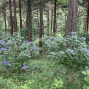 ヒメ日記 2026/09/10 05:39 投稿 彩輝れいな HANABI(福富町)