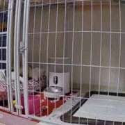 ヒメ日記 2026/09/24 14:35 投稿 彩輝れいな HANABI(福富町)