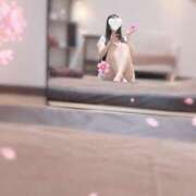 ヒメ日記 2026/09/14 15:31 投稿 -あおい- Mrs.RankUp（ミセスランクアップ）