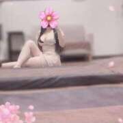 ヒメ日記 2026/09/15 11:21 投稿 -あおい- Mrs.RankUp（ミセスランクアップ）