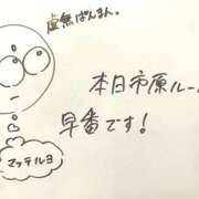 真凛 出勤致しました〜🐬🫧 HERMINE-エルミネ-