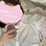 ヒメ日記 2026/07/25 20:26 投稿 今田 希依 Canx2 R30×R40神戸店