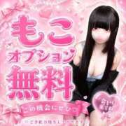 ヒメ日記 2026/10/05 19:55 投稿 もこ♡極上SPコース♡ PANTHER（パンサー）