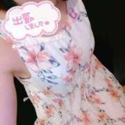 ヒメ日記 2026/07/31 19:03 投稿 みおり もしも清楚な20、30代の妻とキスイキできたら横浜店