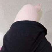 ヒメ日記 2026/07/29 05:08 投稿 りん セクシーキャット 小田原店
