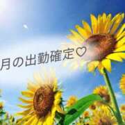 ヒメ日記 2026/08/11 01:36 投稿 安西 菜月 30代40代50代と遊ぶなら博多人妻専科24時
