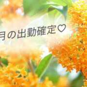 ヒメ日記 2026/09/08 21:15 投稿 安西 菜月 30代40代50代と遊ぶなら博多人妻専科24時