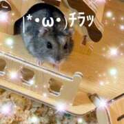 ヒメ日記 2026/08/10 17:03 投稿 りん 熟女総本店尼崎店