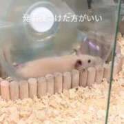 ヒメ日記 2026/08/06 15:27 投稿 けいか ごほうびSPA 新宿店