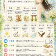菜摘-なつみ【FG系列】 今日の暦だより??? ほんとうの人妻 横浜本店