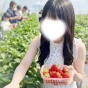 ことり 🈵完売御礼ありがとう♡ Okini川越