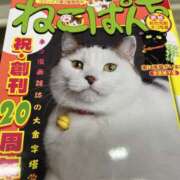ヒメ日記 2026/10/13 01:33 投稿 ののか セレブクエスト-omiya-