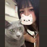 ヒメ日記 2026/10/14 07:28 投稿 いこい ハピネス＆ドリーム 松山道後温泉
