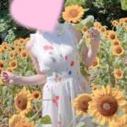ヒメ日記 2026/07/19 09:19 投稿 桜花(おうか) CLUB PIAA