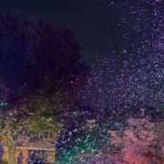 ヒメ日記 2026/08/30 09:22 投稿 桜花(おうか) CLUB PIAA